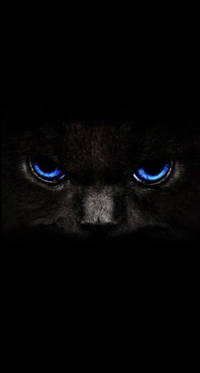 Индивидуалка Горячая Штучка Советский Фотография 