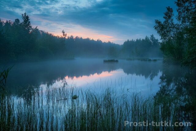 Мужчина Алигатор Нижегородский Фотография 